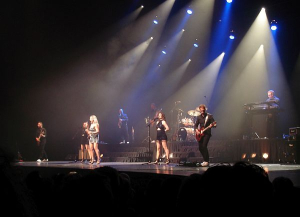 Simply the best - tribute to Tina Turner – Rockicoon overtuigend op een voetstuk geplaatst