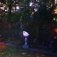 Visions Of A Life