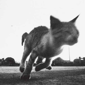 Les vagues d’Annabel Lee…