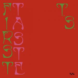 Le bon goût de Ty Segall