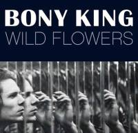Wildflowers