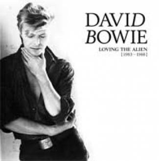 Un quatrième coffret rétrospectif pour David Bowie