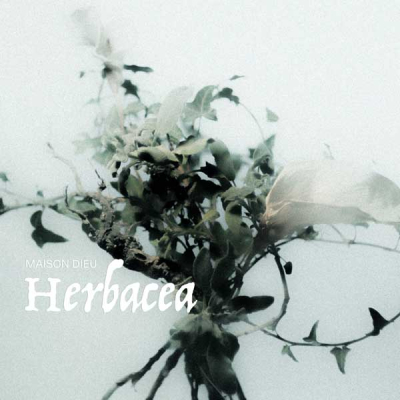 Herbacea EP