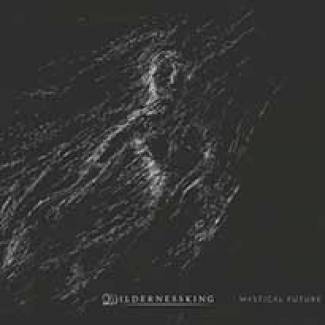 Wildernessking dévoile son nouveau clip !