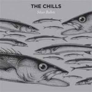 Le nouvel album des Chills sortira enfin cet automne !