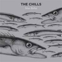 Le nouvel album des Chills sortira enfin cet automne !