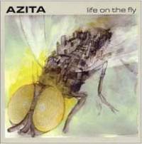 Life on the Fly