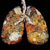 Mayuko respire à pleins poumons…