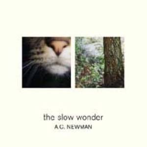 The slow wonder