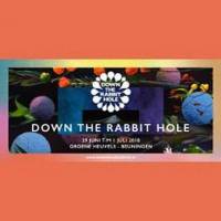 Down The Rabbit Hole 2018 – Overzicht van het driedaags festival