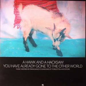 You Have Already Gone to the Other World