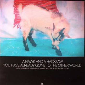 You Have Already Gone to the Other World