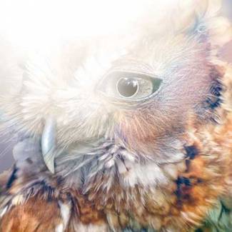 What was ours can’t be yours