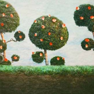 Painting the roses
