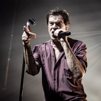 Die Toten Hosen - Een thuismatch op verplaatsing