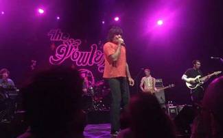 The Growlers - Zomers microklimaat in putje winter