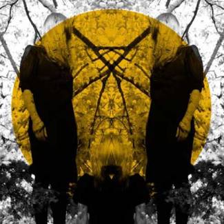 Austra : drôle de mix !