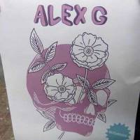Alex G. - onvervalste collegerock zoals in de Nineties