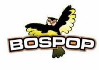 Bospop 2015 – zondag 12 juli 2015 – dag 2
