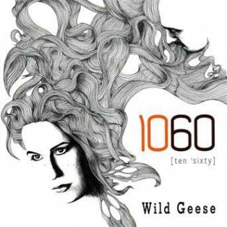 Wild Geese