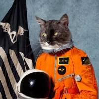 Surfing The Void -2-