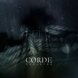 Une ‘Corde’ de plus à leur arc !