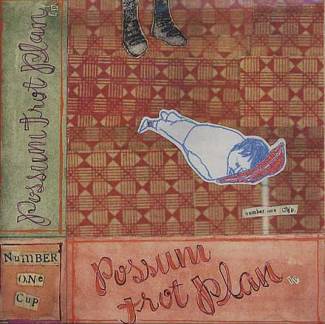 Possum trot plan