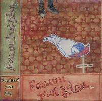 Possum trot plan
