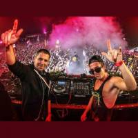 Dimitri Vegas &amp; Like Mike - Bringing Home The Madness