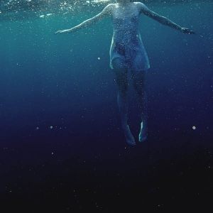 Il y a un requin dans l’eau de Flower Face…
