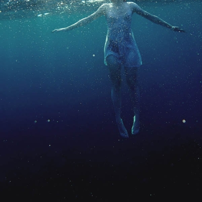 Il y a un requin dans l’eau de Flower Face…