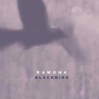 Blackbird (single)