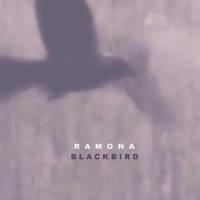 Blackbird (single)