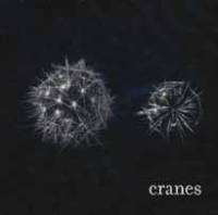 The Cranes