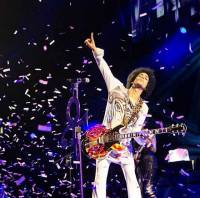 Prince - Purper Spreekt!