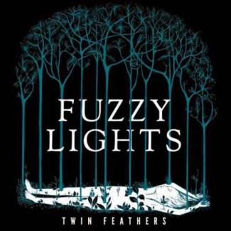 Twin feathers