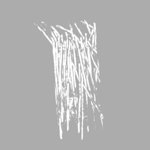 Part Time Punks/Narrowed 