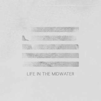 Life in the Midwater
